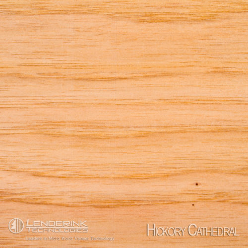 Hickory-Cathedral