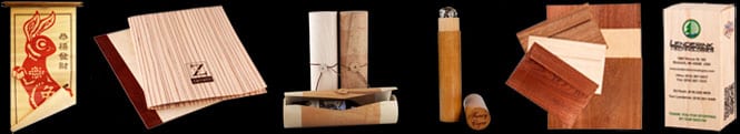 micro_thin_veneer micro_thin_veneer